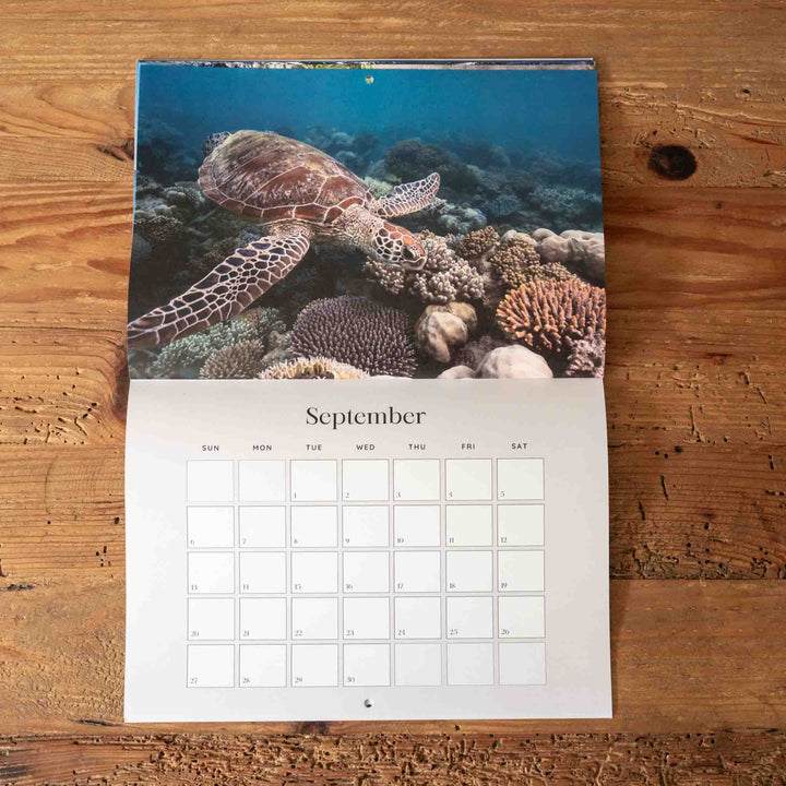 Calendar with a turtle and coral design on a wooden surface