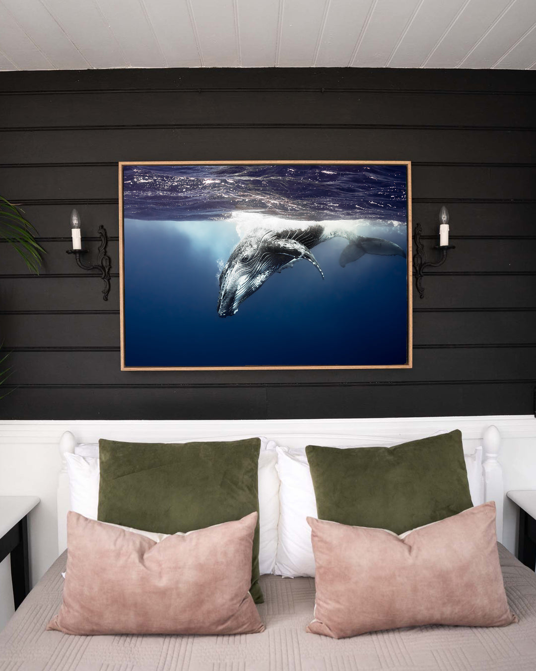 Deep Impact – Humpback Whale, Underwater Photography by David Lloyd, framed canvas print in oak float frame, styled in a bedroom setting