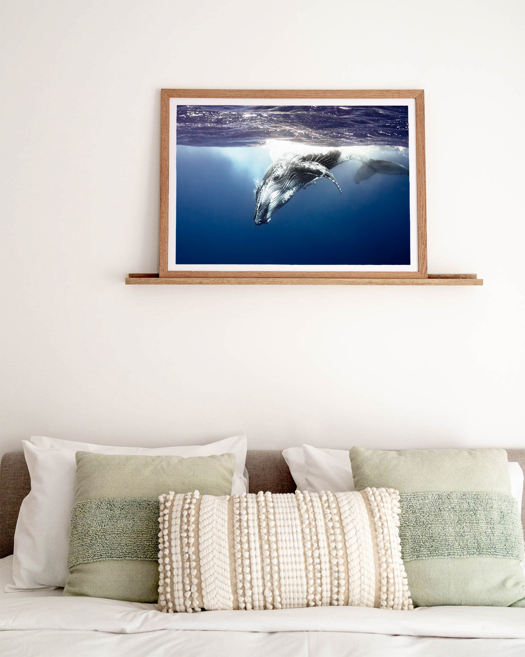 Deep Impact – Humpback Whale, Underwater Photography by David Lloyd, framed paper print in oak frame, styled in a bedroom setting