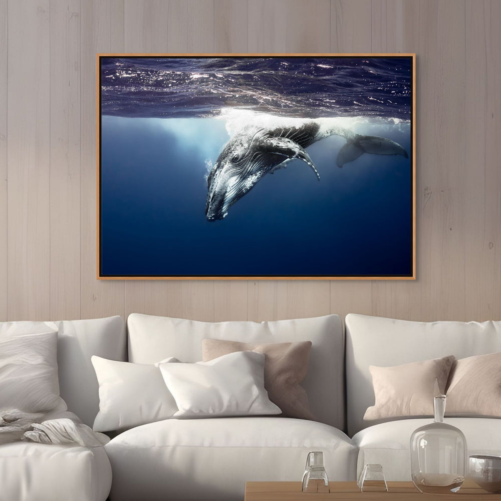 Deep Impact – Close-up underwater view of a humpback whale facing the camera, deep blue water | Shadow Box Canvas Print