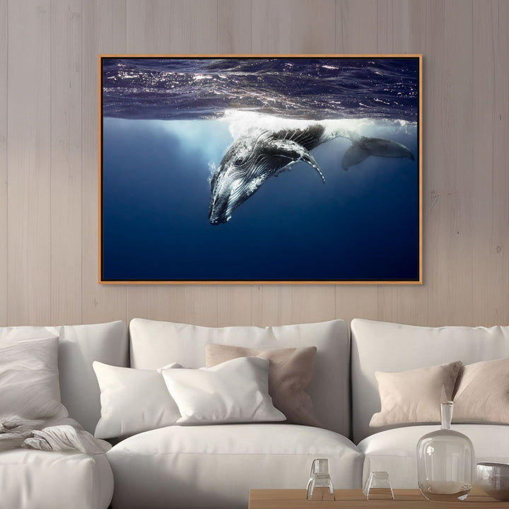 Deep Impact – Close-up underwater view of a humpback whale facing the camera, deep blue water | Shadow Box Canvas Print