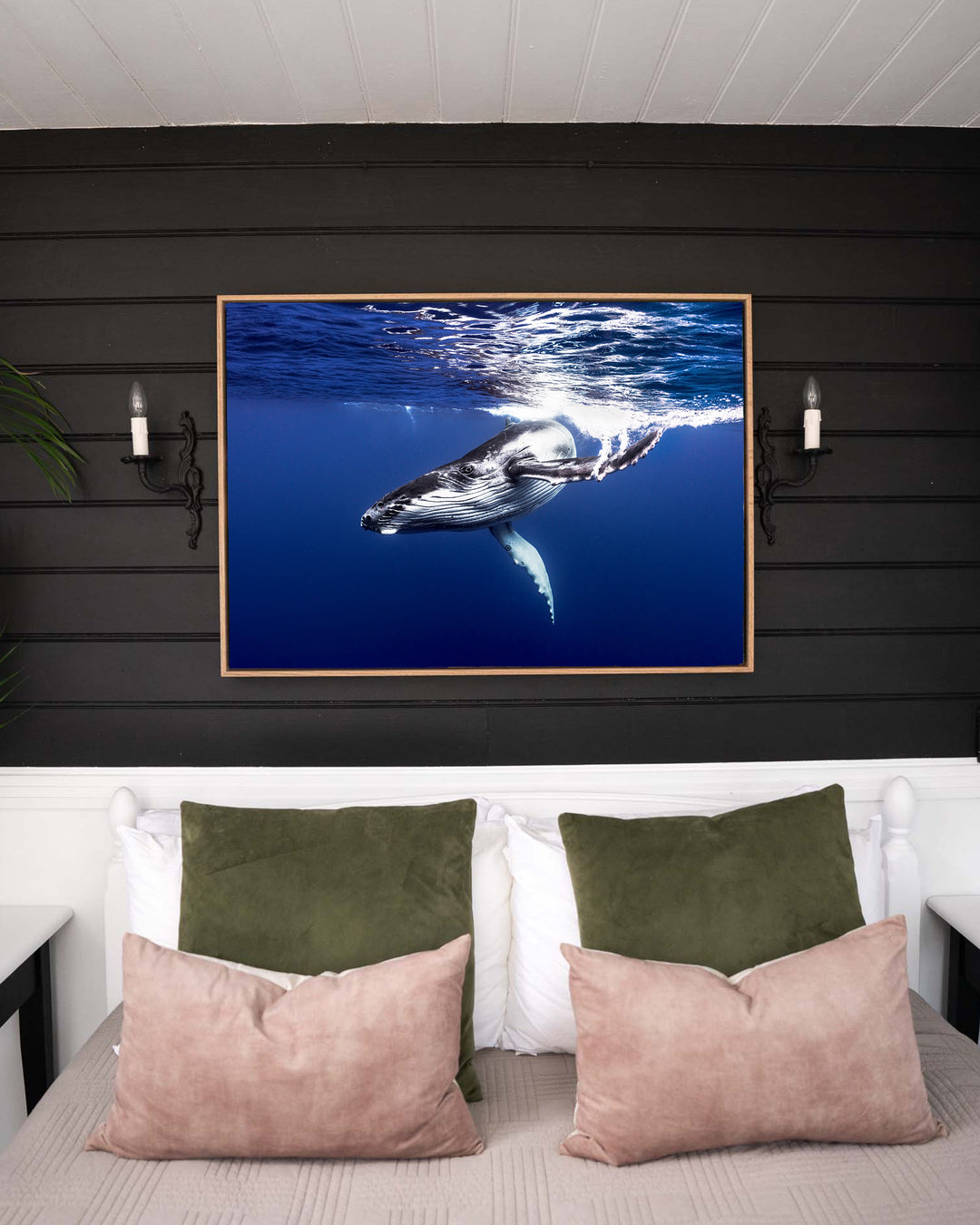 Dive Bomb – Humpback Whale, Underwater Photography by David Lloyd, framed canvas print in oak float frame, styled in a bedroom setting
