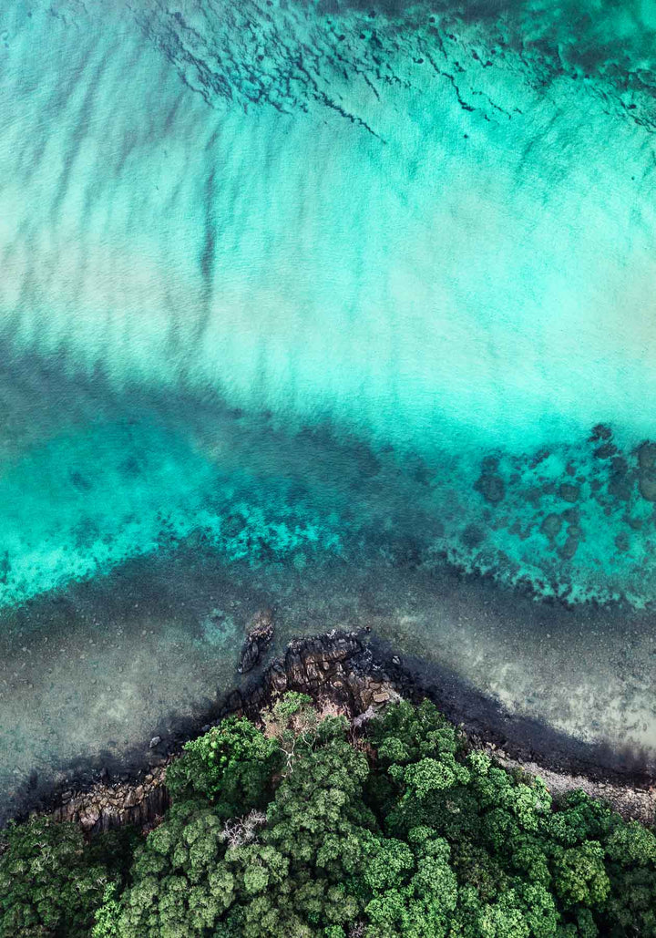 Don’t Dream It’s Over – Aerial view of Cape Tribulation with rainforest meeting turquoise ocean | Unframed Rolled Print by David Lloyd