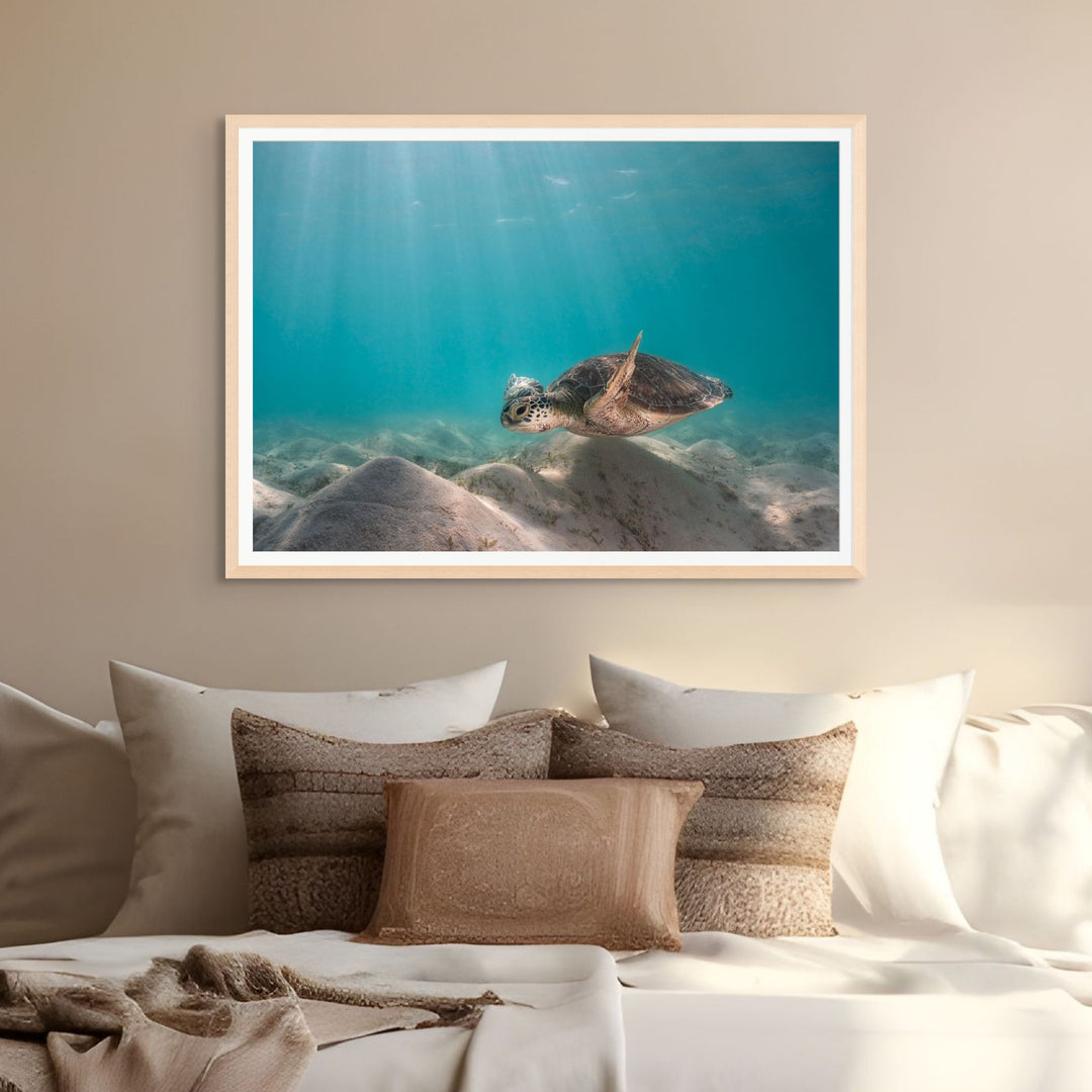 Drifting in the Dunes – Green sea turtle gliding over underwater dunes at Lizard Island, turquoise waters, serene ocean scene | Framed Paper Print