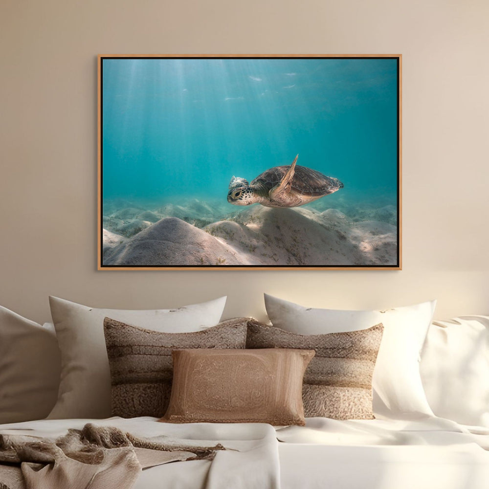 Drifting in the Dunes – Green sea turtle gliding over underwater dunes at Lizard Island, turquoise waters, serene ocean scene | Shadow Box Canvas Print