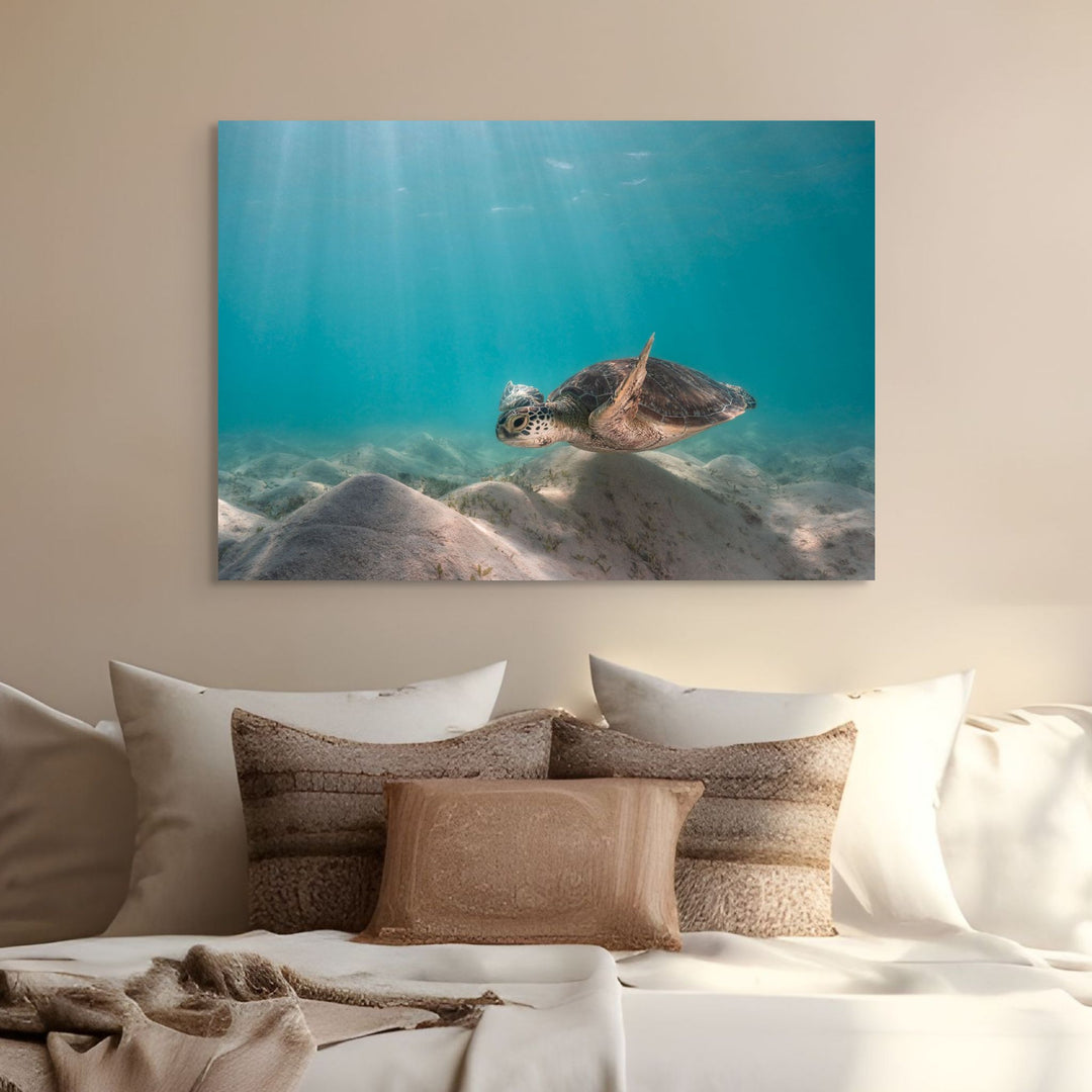 Drifting in the Dunes – Green sea turtle gliding over underwater dunes at Lizard Island, turquoise waters, serene ocean scene | Stretched Canvas Print