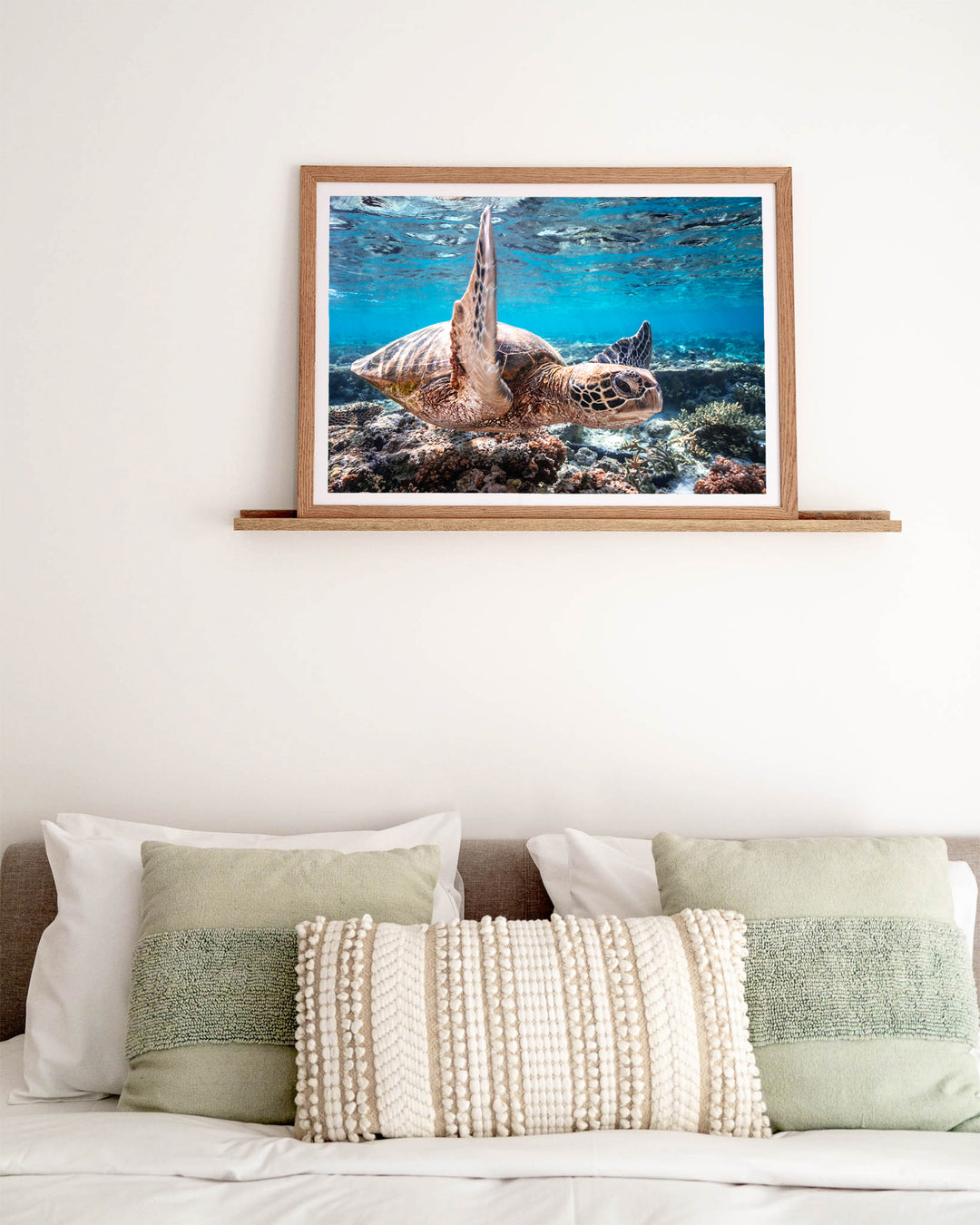 Drive By – Green Sea Turtle, Underwater Photography by David Lloyd, framed paper print in oak frame, styled in a bedroom setting