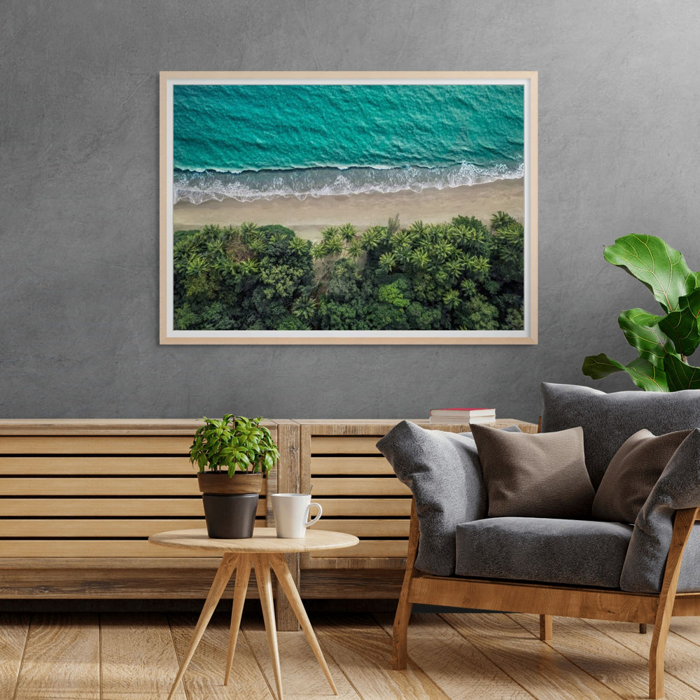 Emerald Tide – aerial photograph of Four Mile Beach coastline with tropical rainforest meeting turquoise ocean water | Framed Paper Print