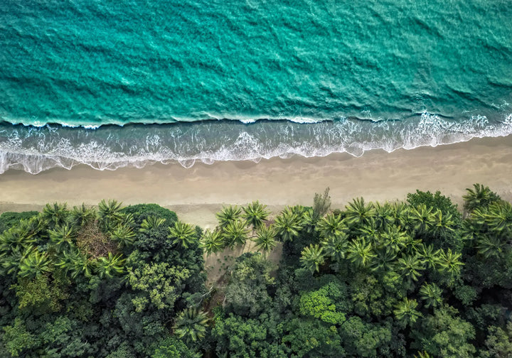 Emerald Tide – aerial photograph of Four Mile Beach coastline with tropical rainforest meeting turquoise ocean water | Unframed Rolled Print