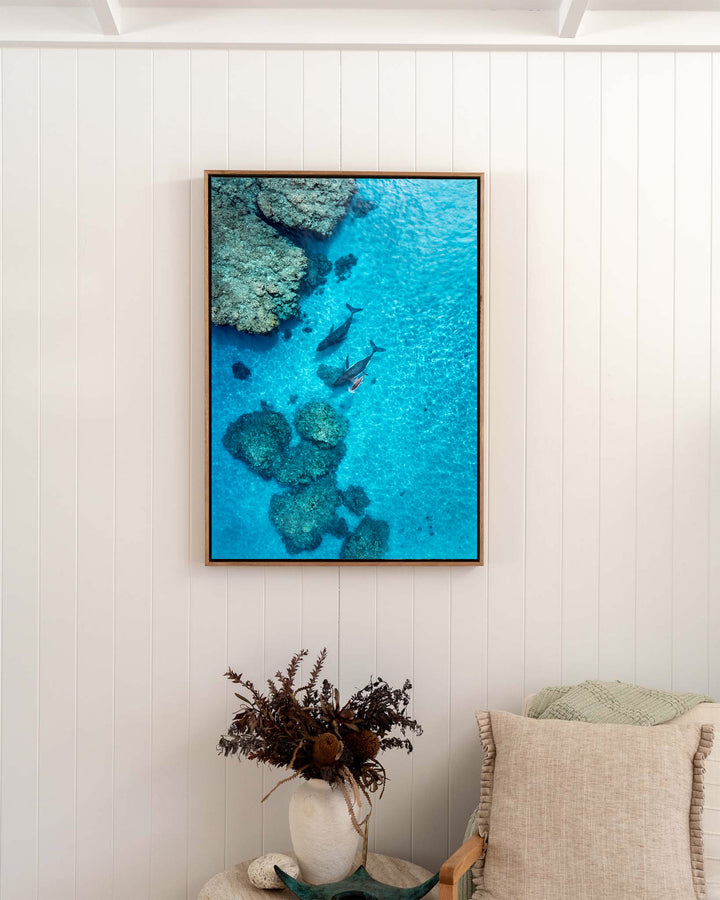 Escort in the Shallows – Humpback Whales, Aerial Photography by David Lloyd, framed canvas print in oak float frame, styled in a bedroom setting