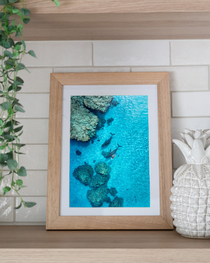 Escort in the Shallows – Humpback Whales, Aerial Photography by David Lloyd, framed paper print in oak frame, styled in a kitchen shelf setting
