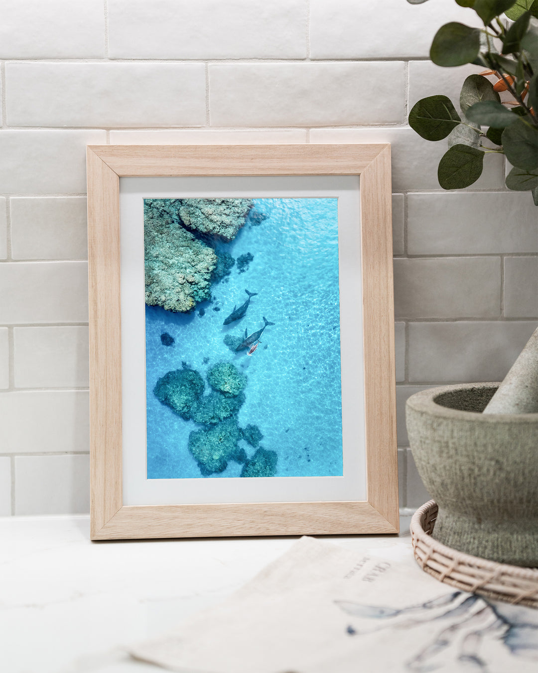 Escort in the Shallows – Humpback Whales, Aerial Photography by David Lloyd, framed paper print in oak frame, styled in a kitchen bench setting