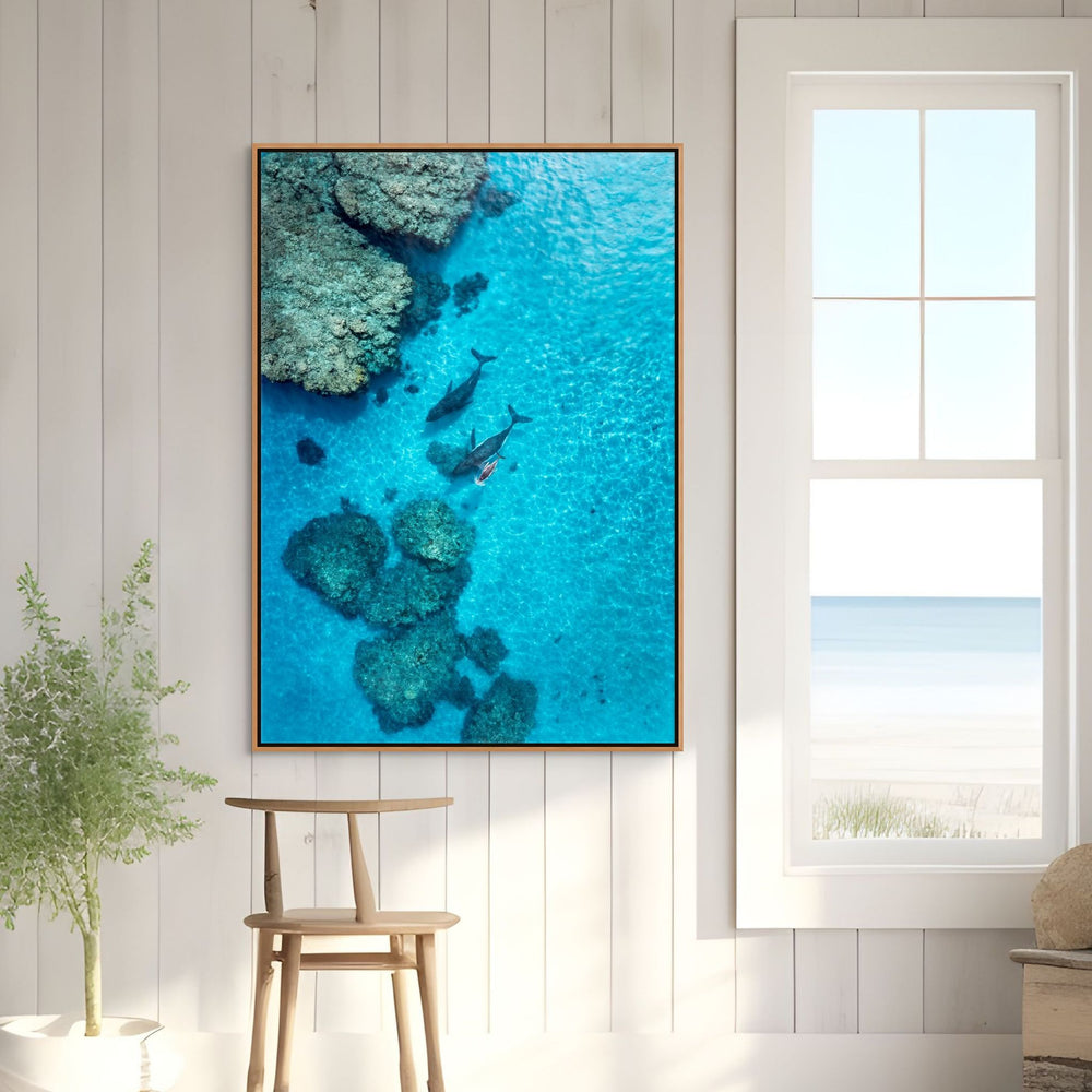 Escort in the Shallows by David Lloyd – shadow box canvas print, aerial view of whales over the coral reef, fine art photography