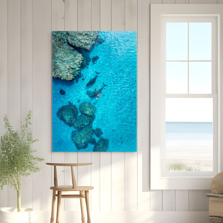 Escort in the Shallows by David Lloyd – stretched canvas print, aerial view of whales swimming over the reef, fine art photographic print