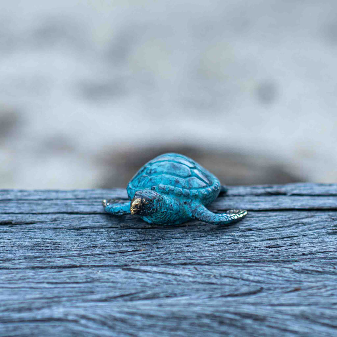 Extra Small Turtle | Aged Brass