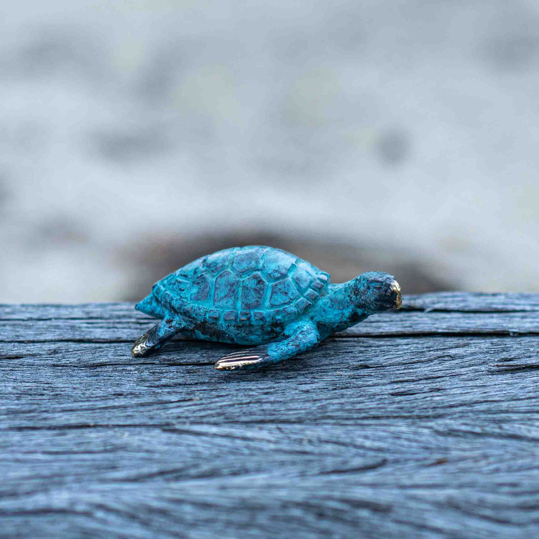 Extra Small Turtle | Aged Brass