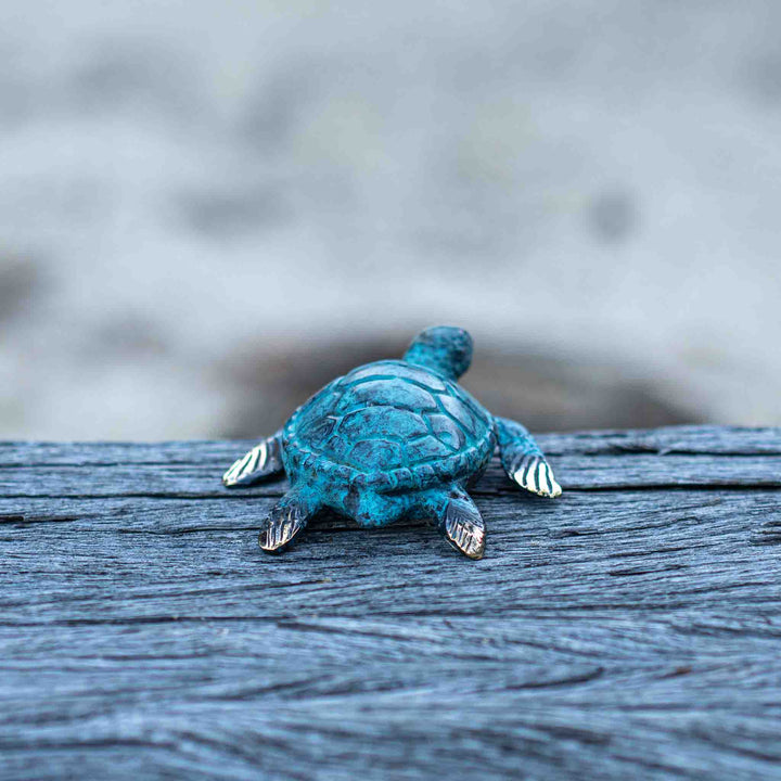 Extra Small Turtle | Aged Brass