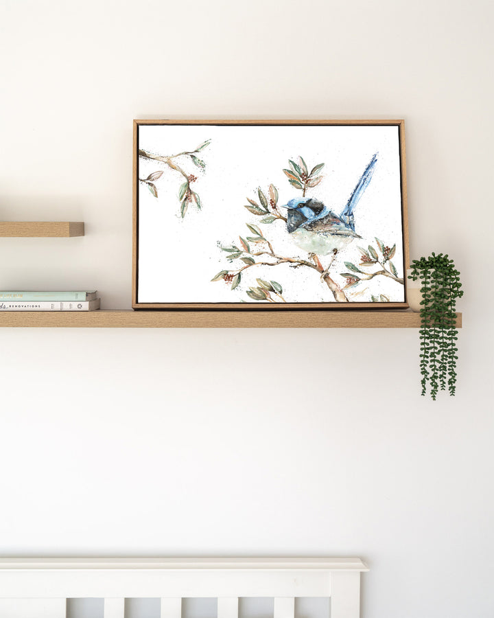 Fairy Floss fairy wren fine art print by Stephanie Elizabeth, framed canvas in an oak frame on a shelf