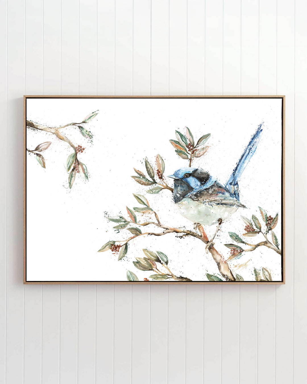 Fairy Floss fairy wren fine art print by Stephanie Elizabeth, framed canvas in an oak frame