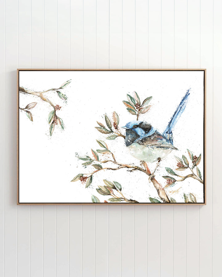 Fairy Floss fairy wren fine art print by Stephanie Elizabeth, framed canvas in an oak frame