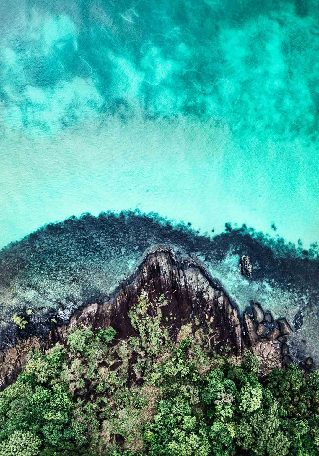 Fall At Your Feet – Aerial view of Cape Tribulation showing rainforest and reef patterns in vivid colours | Unframed Rolled Print by David Lloyd