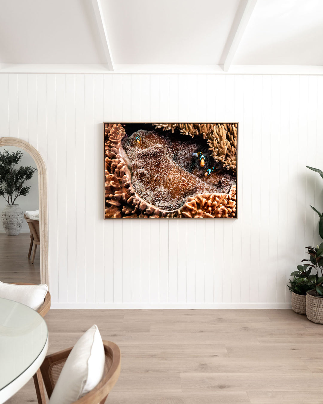 Family Business – Clown Fish, Underwater Photography by David Lloyd, framed canvas print in oak float frame, styled in a dining room setting