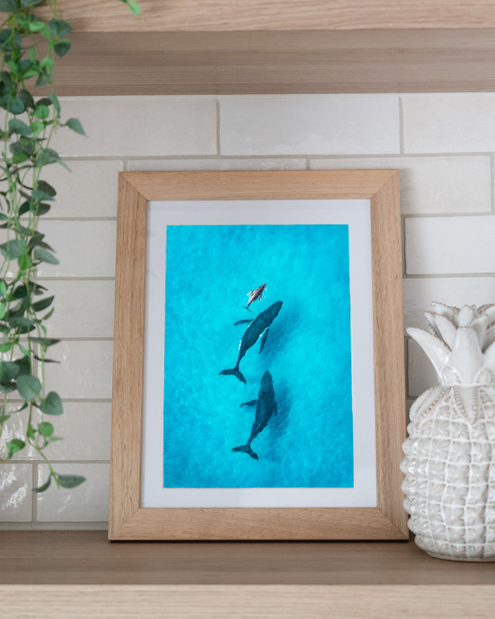 Family Time – Whales, Aerial Photography by David Lloyd, framed paper print in oak frame, styled in a kitchen shelf setting