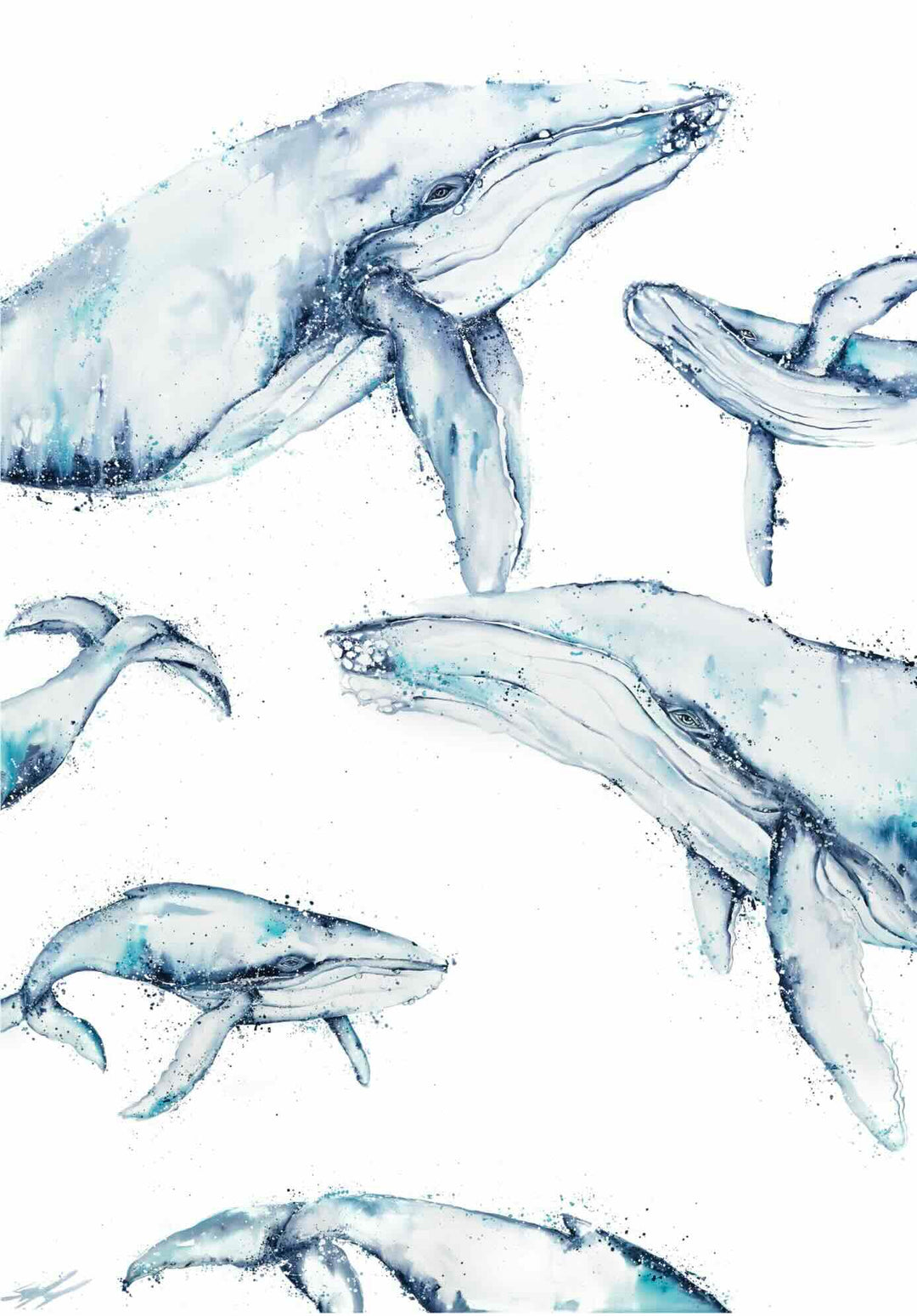 Family Trip – unframed rolled humpback whale fine art print by Stephanie Elizabeth