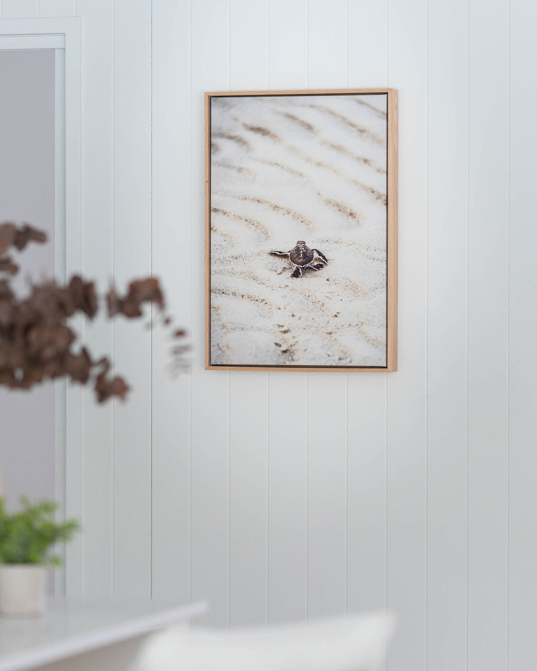 First Light – Turtle Hatchling | Coastal Photography