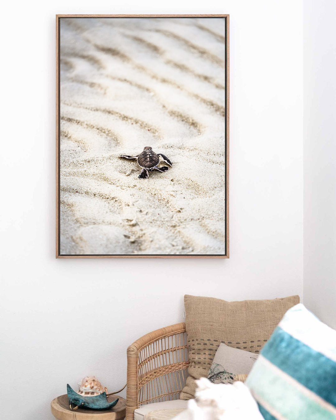 First Light – Turtle Hatchling, Coastal Photography by David Lloyd, framed canvas print in oak float frame, styled in a coastal lounge setting