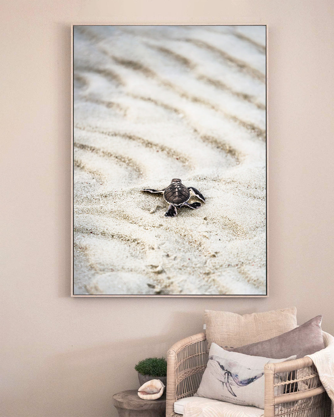 First Light – Turtle Hatchling, Coastal Photography by David Lloyd, framed canvas print in oak float frame, styled in a sitting room setting