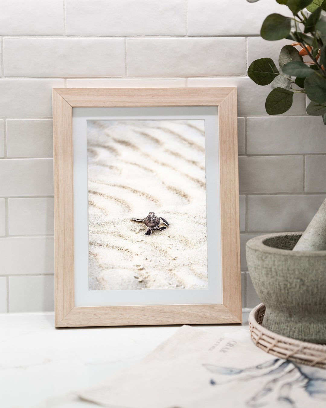 First Light – Turtle Hatchling, Coastal Photography by David Lloyd, framed paper print in oak frame, styled in a kitchen bench setting