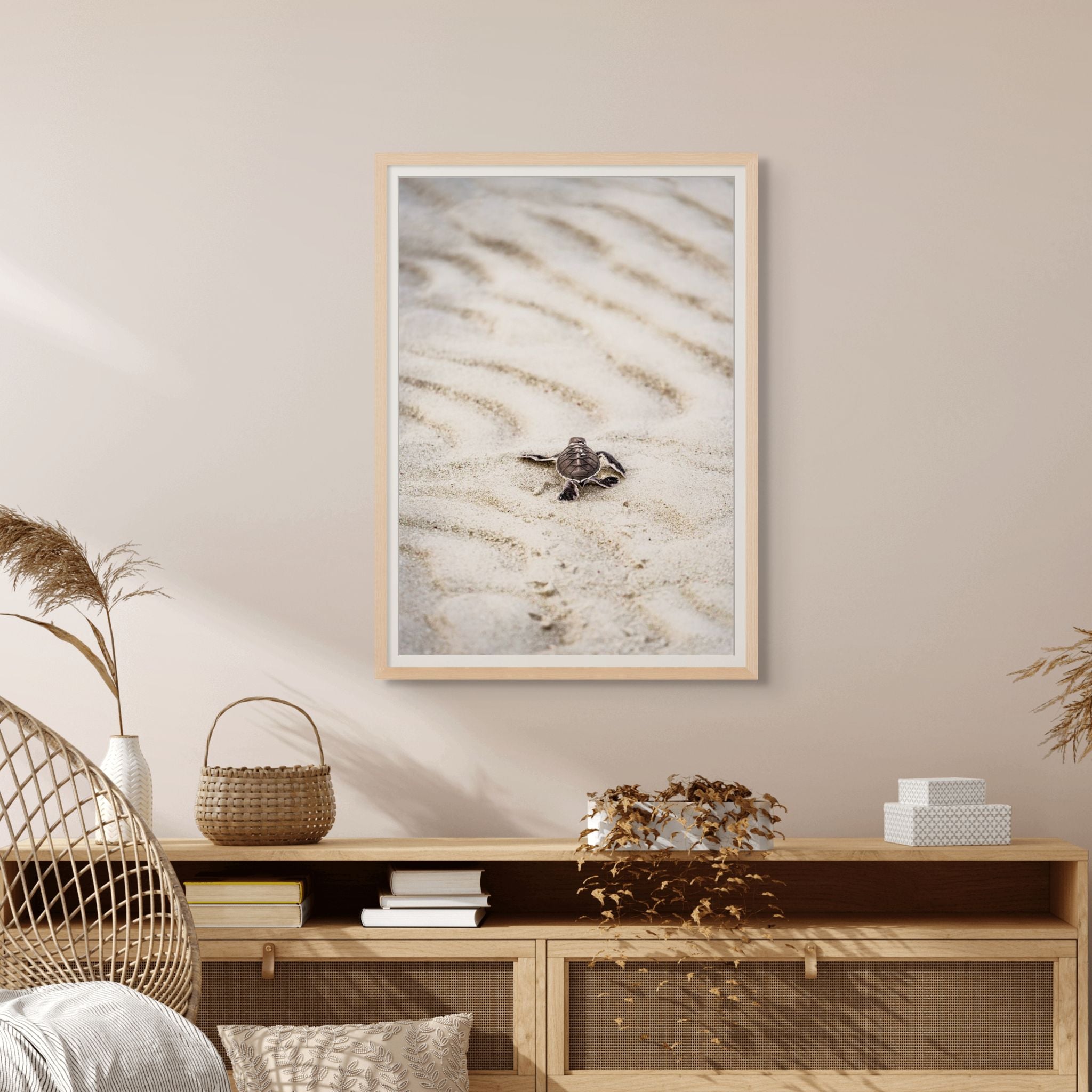 First Light – Turtle Hatchling | Coastal Photography – SEA Gallery