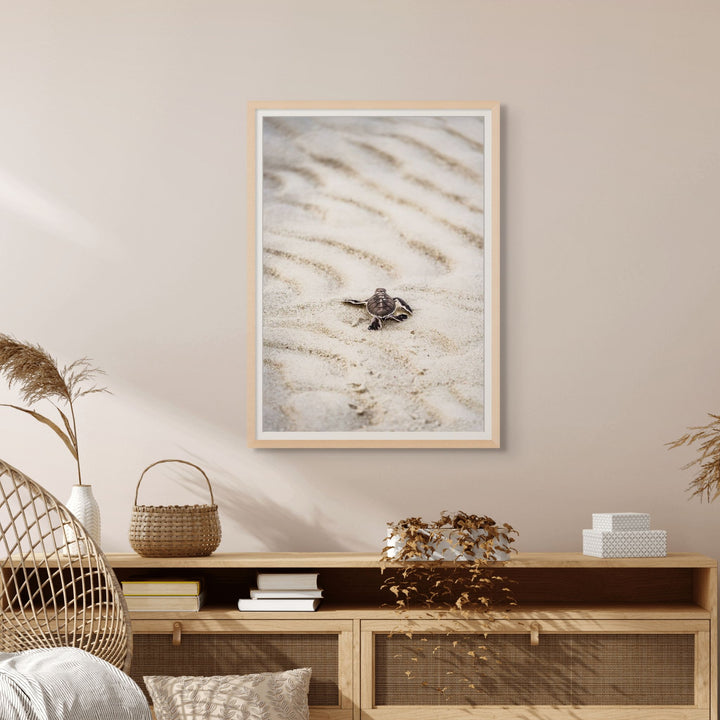 First Light – turtle hatchling making its first journey across sandy beach toward the ocean at sunrise | Framed Paper Print