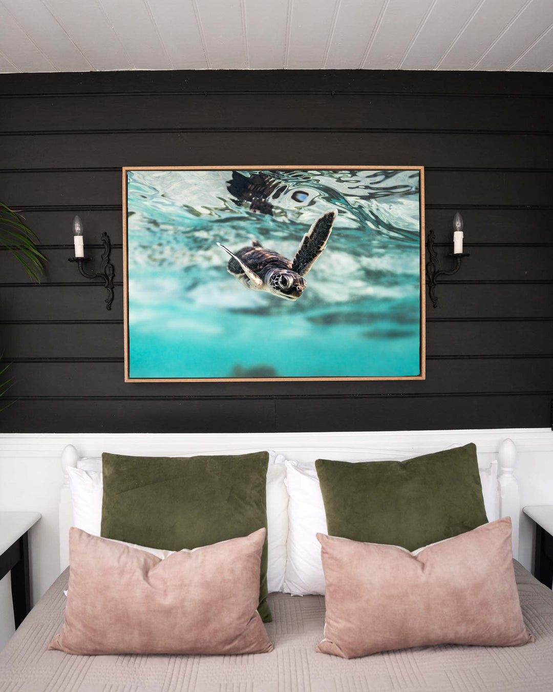 Flicker and Flow – Turtle Hatchling, Underwater Photography by David Lloyd, framed canvas print in oak float frame, styled in a bedroom setting
