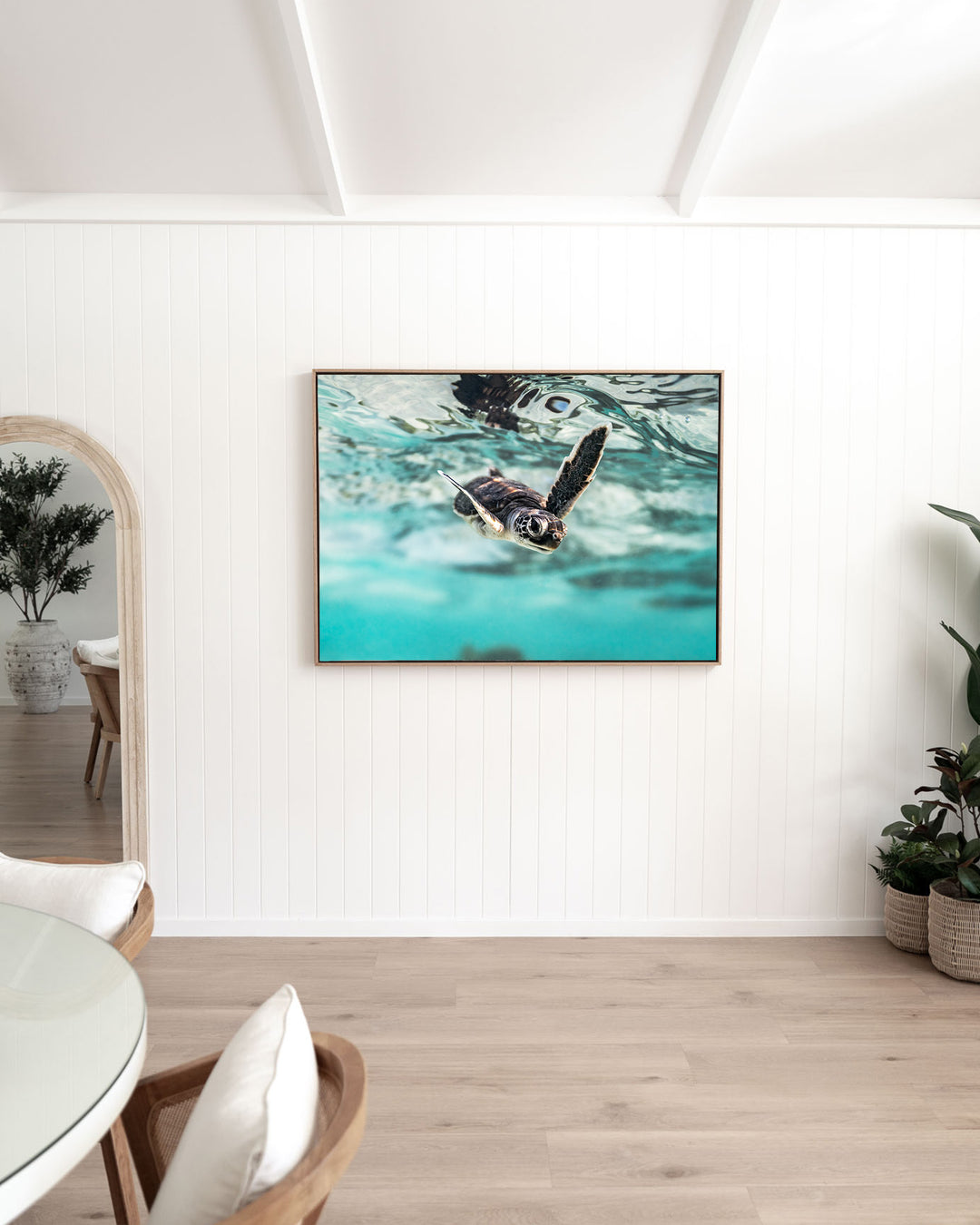 Flicker and Flow – Turtle Hatchling, Underwater Photography by David Lloyd, framed canvas print in oak float frame, styled in a dining room setting