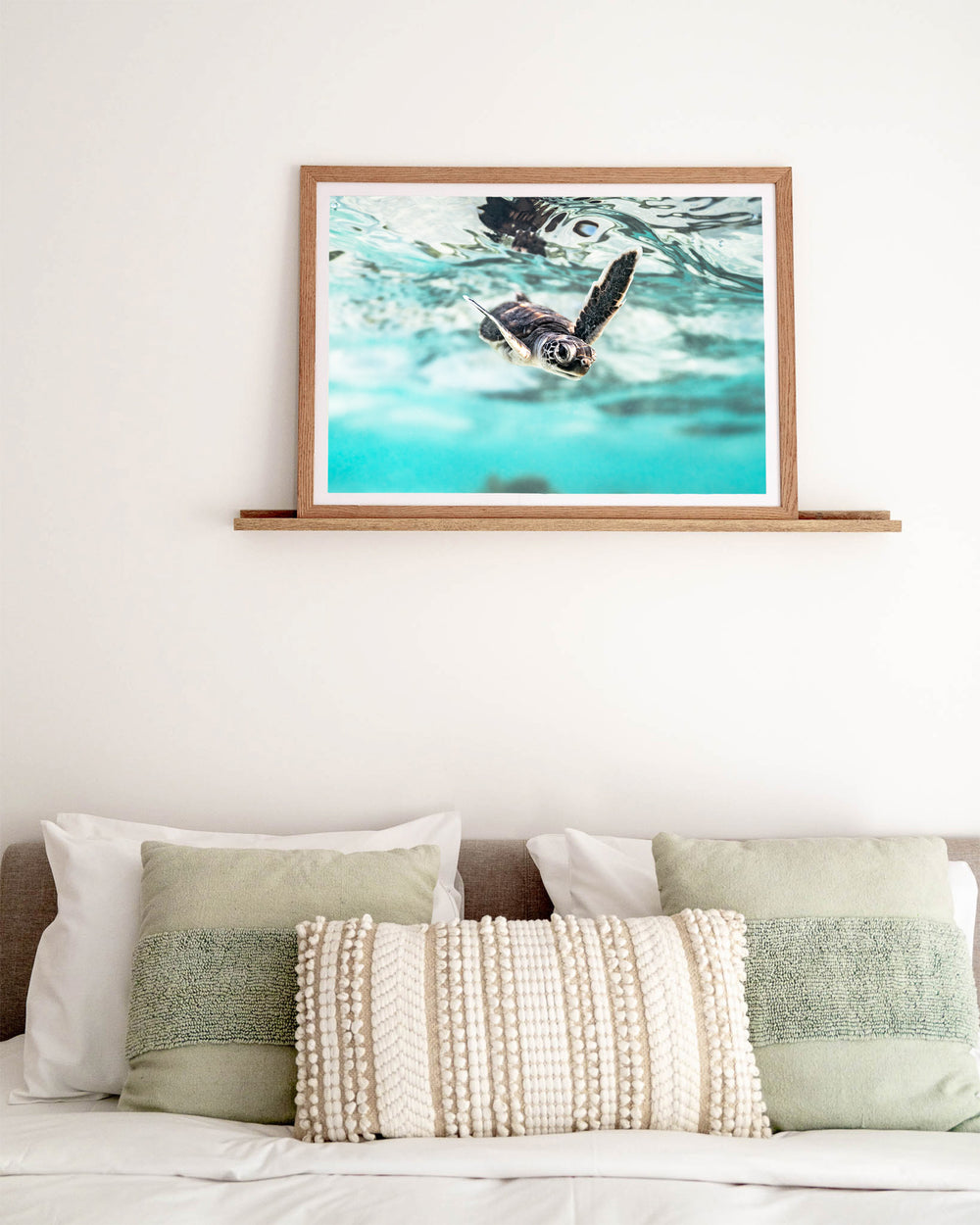 Flicker and Flow – Turtle Hatchling, Underwater Photography by David Lloyd, framed paper print in oak frame, styled in a bedroom setting