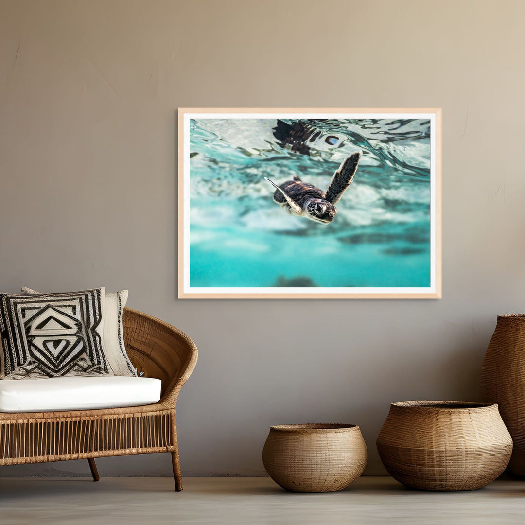 Flicker and Flow by David Lloyd – turtle hatchling swimming toward the viewer in soft blues and golden highlights, fine art marine life photography print