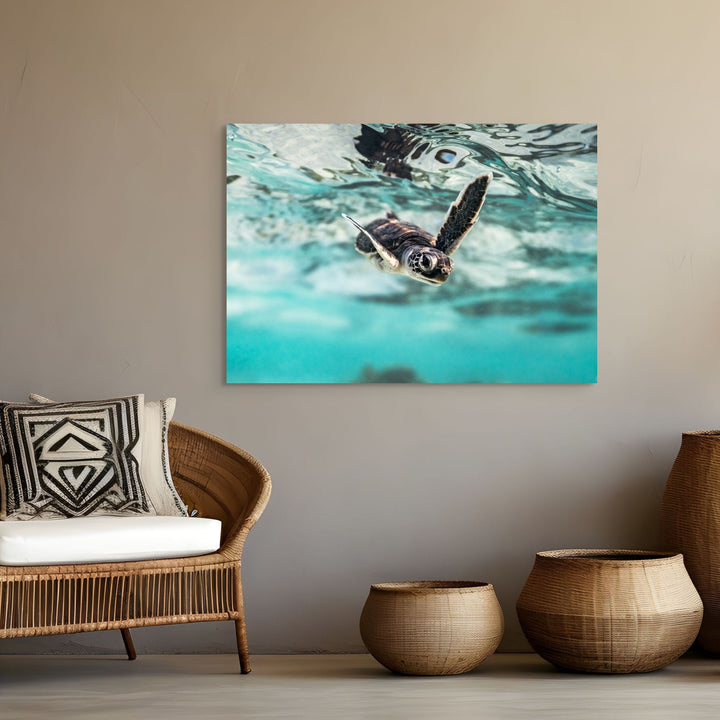 Flicker and Flow by David Lloyd – turtle hatchling swimming toward the viewer in soft blues and golden highlights, fine art marine life photography print
