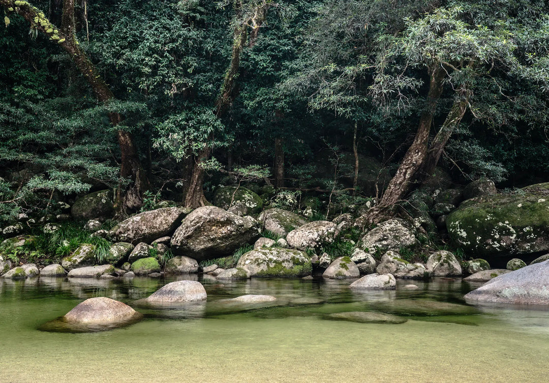 From The Gorge – landscape photograph of flowing rainforest creek through Mossman Gorge with tropical forest and smooth rocks | Unframed Rolled Print