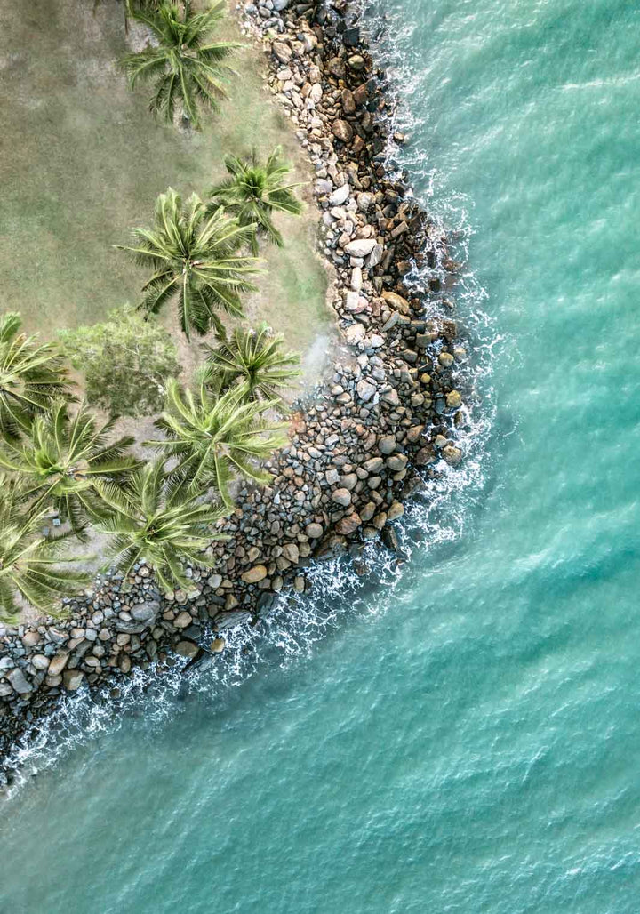 From the Ocean to the Treetops – Aerial photograph of Rex Smeal Park in Port Douglas with golden hour light over ocean, trees and rocks | Unframed Rolled Print