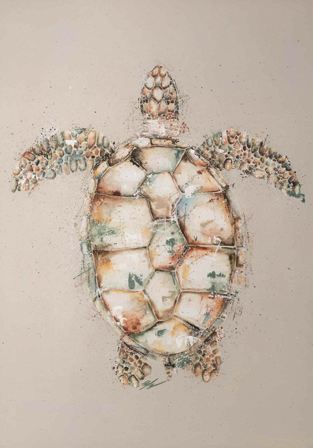 Green by Stephanie Elizabeth – unframed rolled paper print of top-down view of green turtle, fine art marine life print