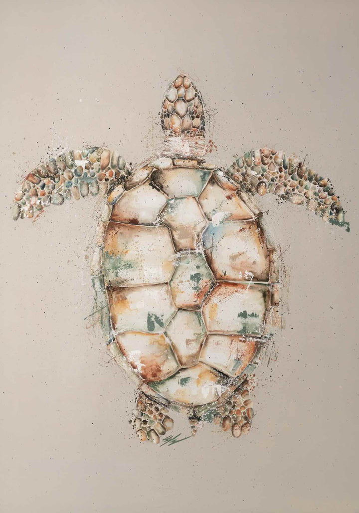Green by Stephanie Elizabeth – unframed rolled paper print of top-down view of green turtle, fine art marine life print