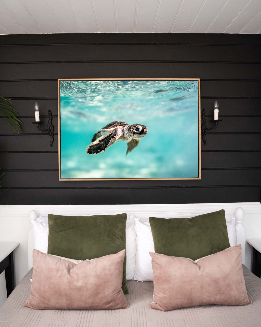 Guided by the Sea – Turtle Hatchling, Underwater Photography by David Lloyd, framed canvas print in oak float frame, styled in a bedroom setting
