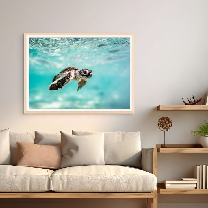 Guided by the Sea by David Lloyd – underwater turtle hatchling swimming in vibrant blue water, fine art marine life photography print