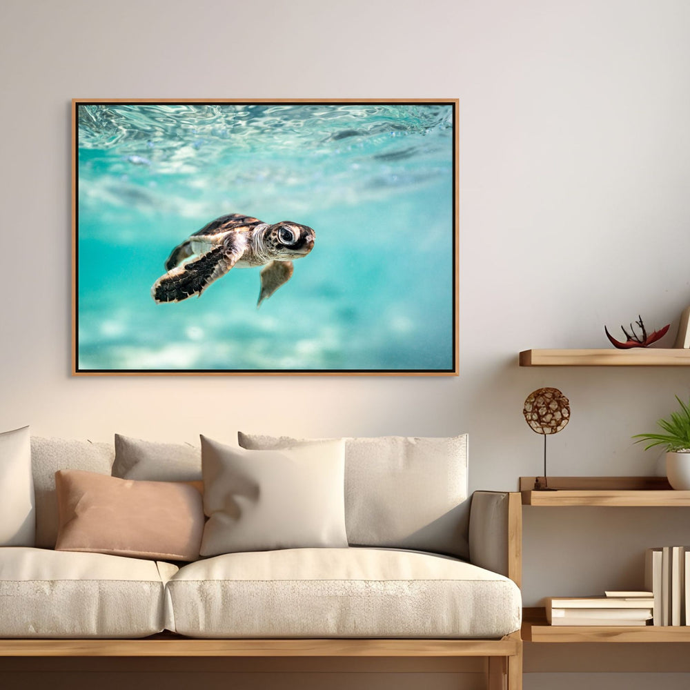 Guided by the Sea by David Lloyd – underwater turtle hatchling swimming in vibrant blue water, fine art marine life photography print
