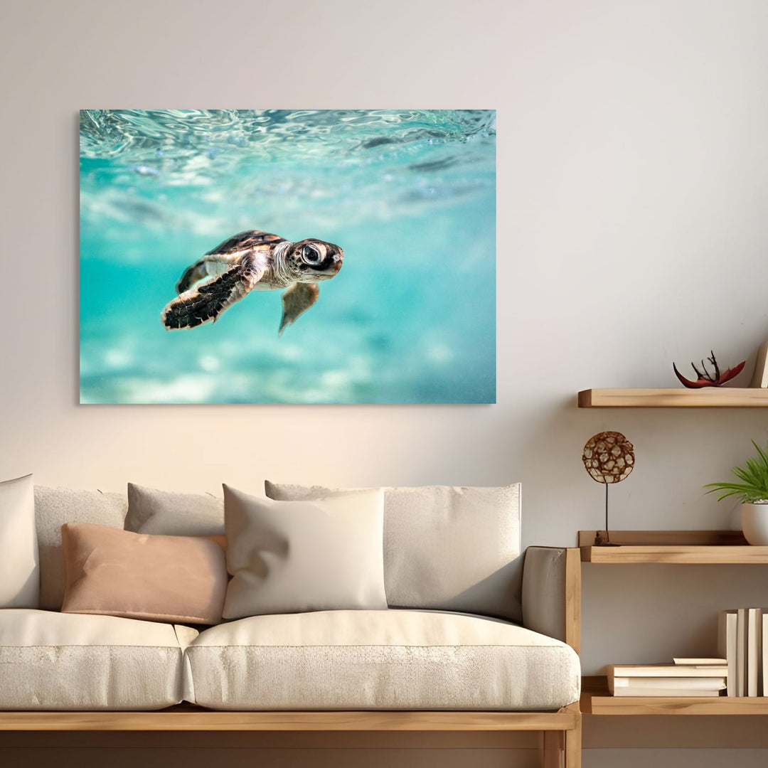 Guided by the Sea by David Lloyd – underwater turtle hatchling swimming in vibrant blue water, fine art marine life photography print