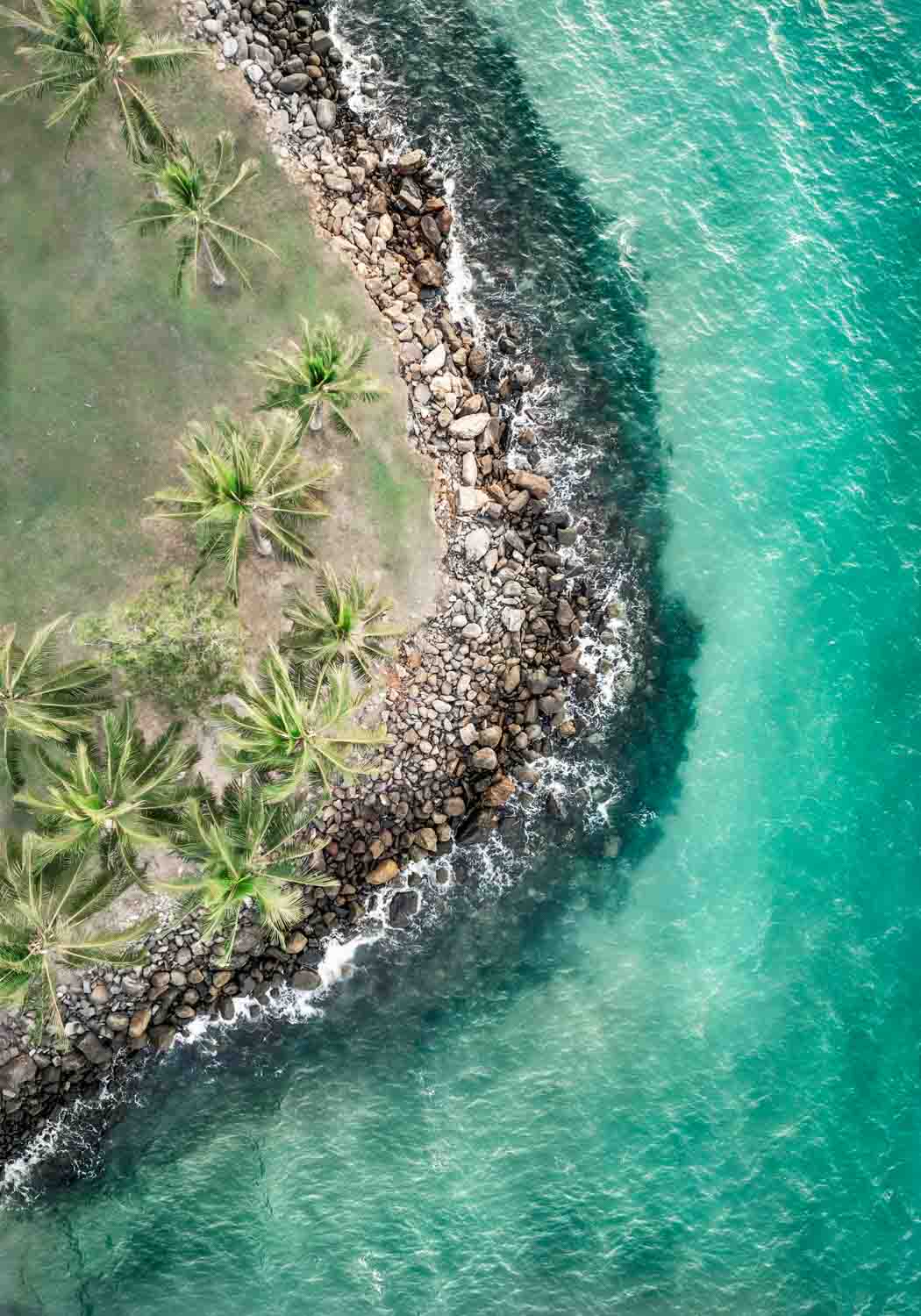 Hammocks and Hangouts – Aerial photograph of Rex Smeal Park with sun-drenched palms, turquoise shoreline, and soft grassy shadows | Unframed Rolled Print