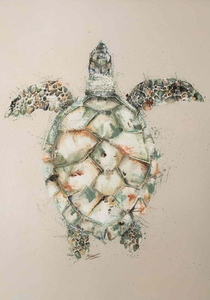 Hawksbill unframed rolled fine art print of a full-body hawksbill turtle on a beige background by Stephanie Elizabeth