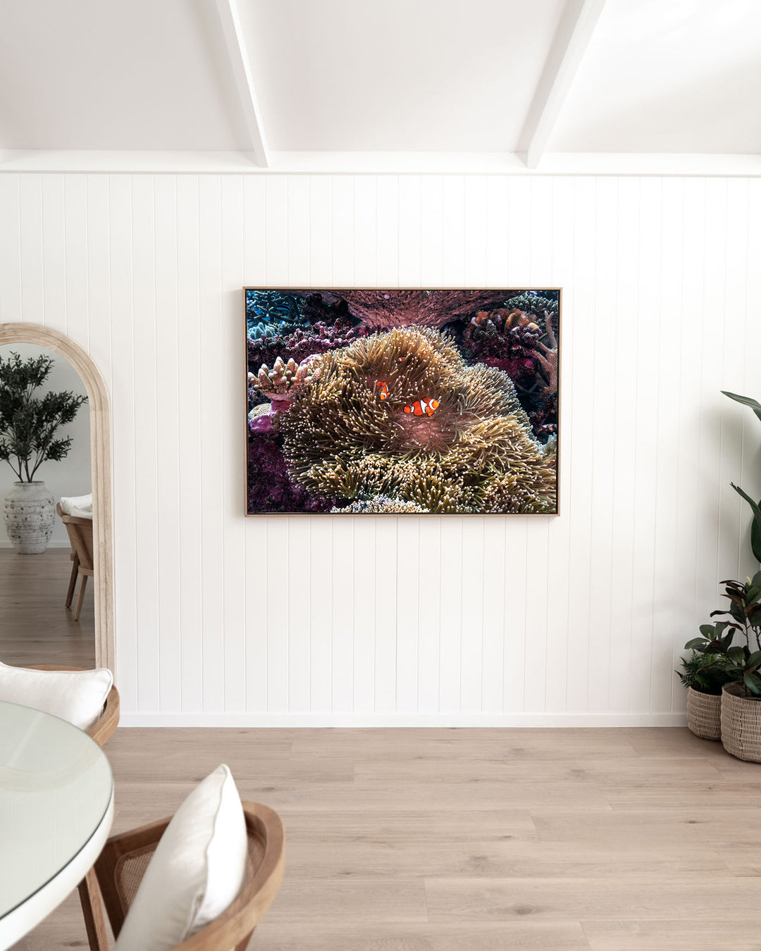 Hiding in Plain Sight – Clown Fish, Underwater Photography by David Lloyd, framed canvas print in oak float frame, styled in a dining room setting